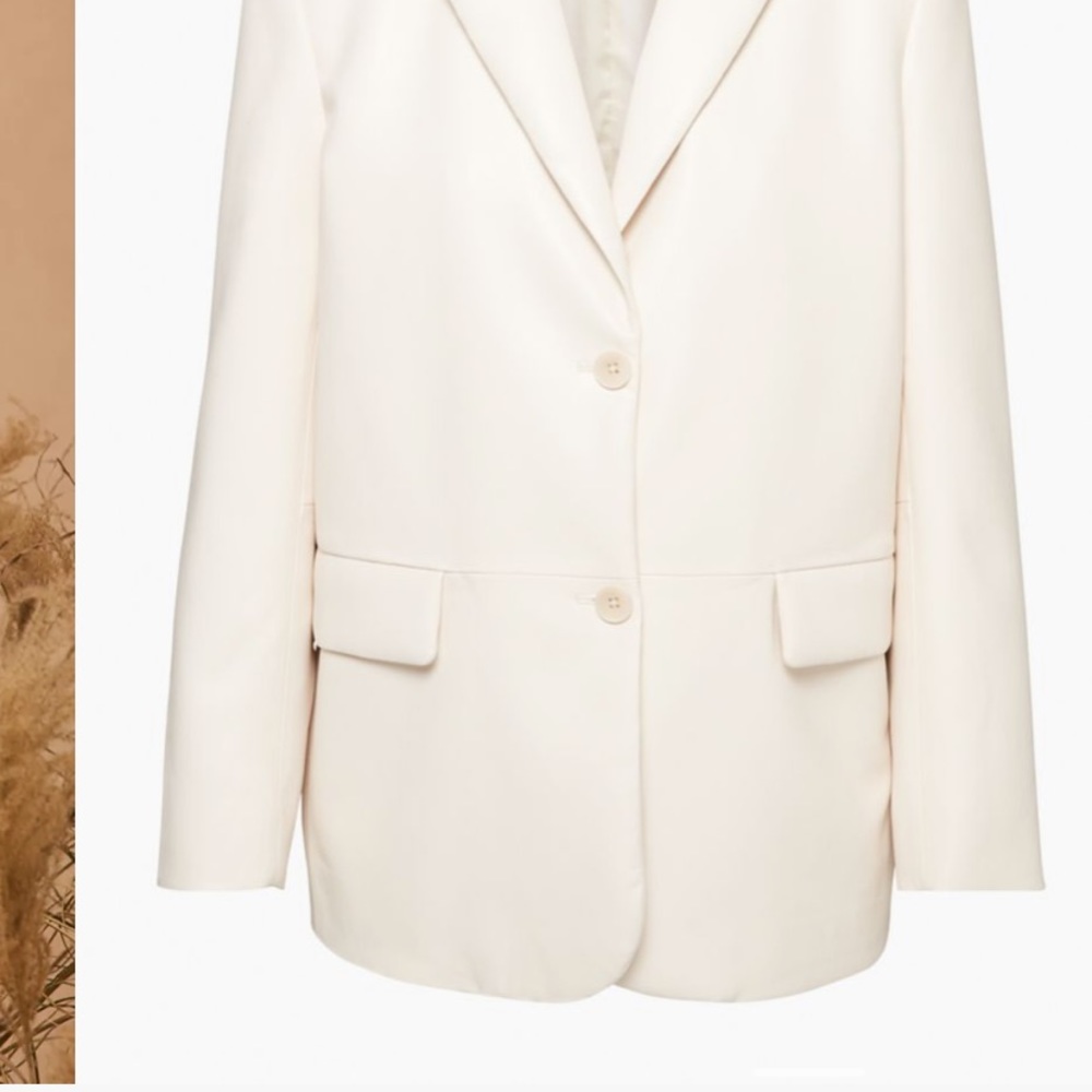Wilfred aritzia 
Memories Blazer - Picture 3 of 6